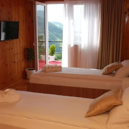 Danubius Homestay szállás Donji Milanovac